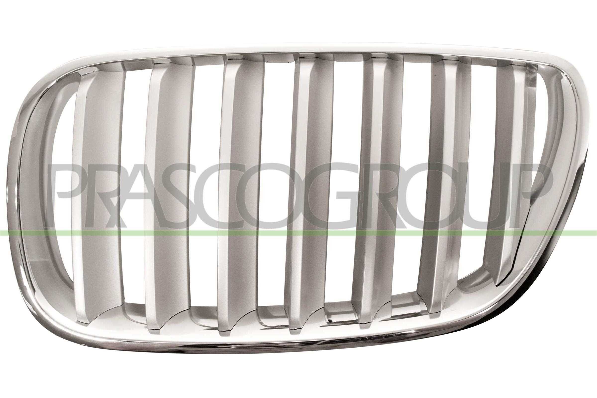 BMW X3 Front grill 7451035 PRASCO BM8032014 online buy
