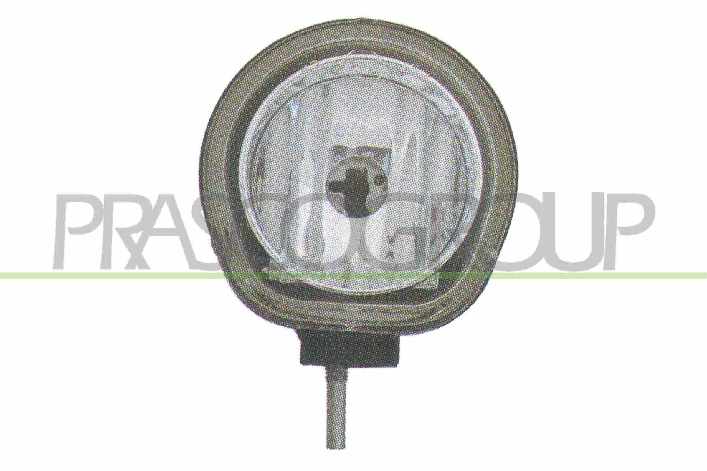 Kennzeichenbeleuchtung FIAT Panda II Schrägheck (169) LED und Halogen  günstig in Online Shop in Original Qualität