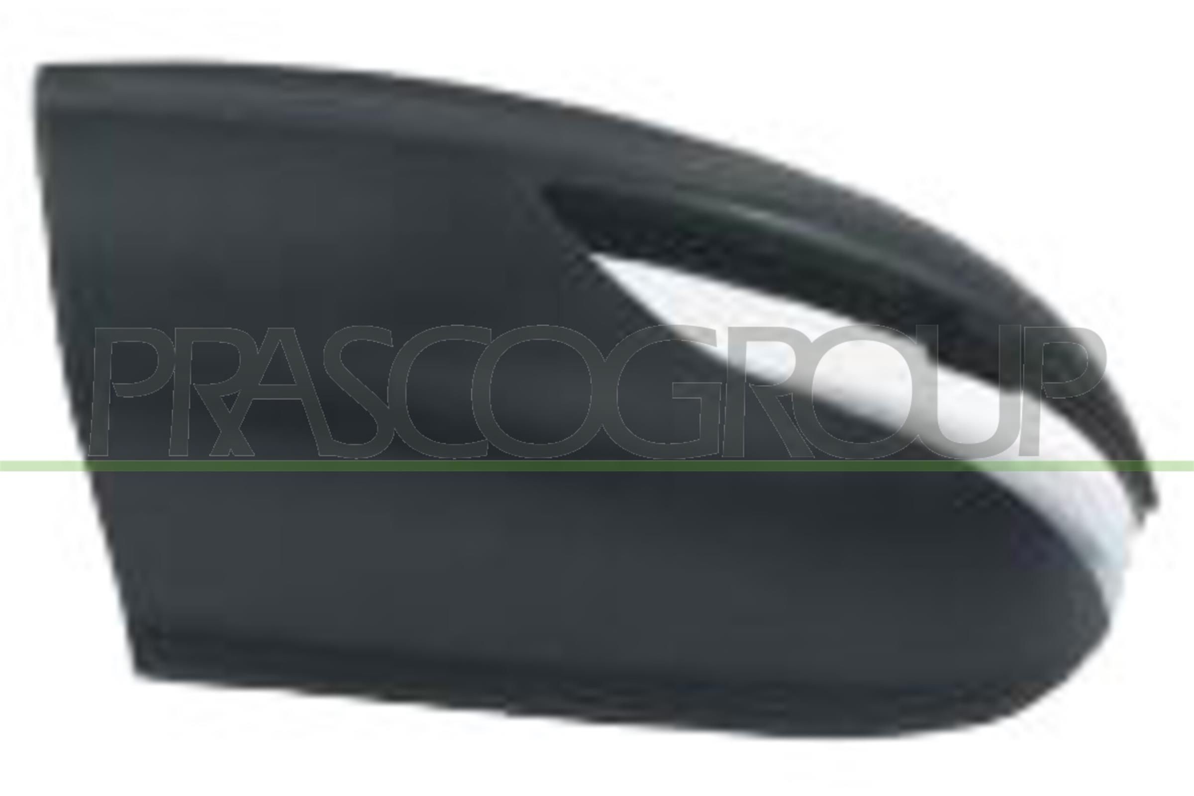 PRASCO Left, primed Wing mirror cover ME3247414 buy