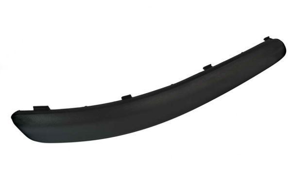 Smart Bumper moulding BLIC 5510-00-9506922P at a good price
