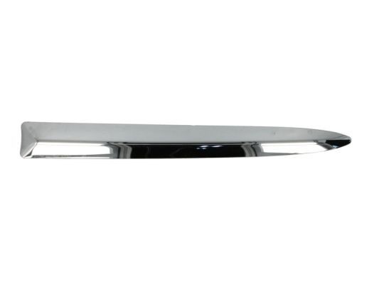 BLIC 5703-05-2013923P FORD USA Bumper moulding in original quality