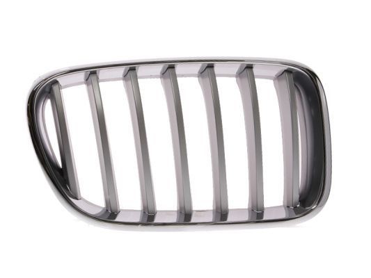 BLIC 6502-07-0093998P BMW X3 2016 Front grill