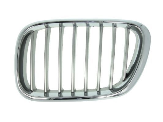 BLIC 6502-07-0095991P BMW X5 2006 Front grill