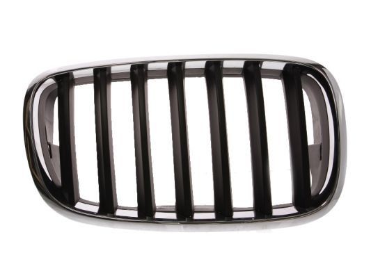 BLIC Grille assembly BMW X6 (E71, E72) new 6502-07-0096992P