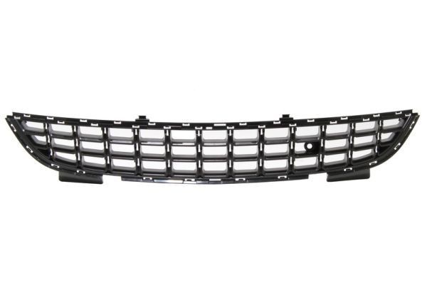 BLIC 6502-07-5024997P Bumper grill ROVER experience and price