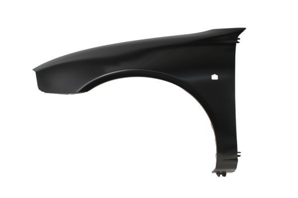 BLIC 6504-04-6435311P Wing fender ROVER experience and price