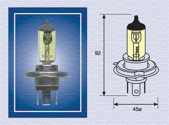 002575100000 MAGNETI MARELLI Glühlampe, Fernscheinwerfer für TERBERG-BENSCHOP online bestellen