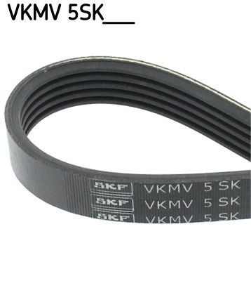 SKF VKMV 5SK595 Serpentine belt 595mm, 5