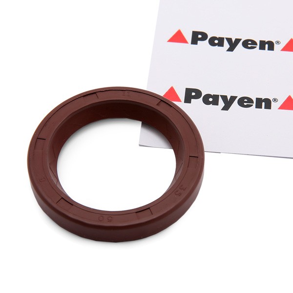 PAYEN NF841 Camshaft seal FIAT DUCATO 2004 price