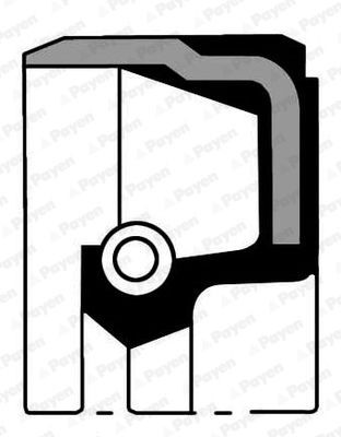 PAYEN NA5175 Crankshaft oil seal Mazda 2 MPV 3.0 203 hp Petrol 2006 price