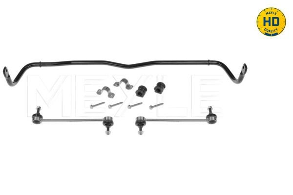 100 653 0004/HD MEYLE Sway bar VW Front Axle, with clamps, with coupling rod, with rubber mount, Quality