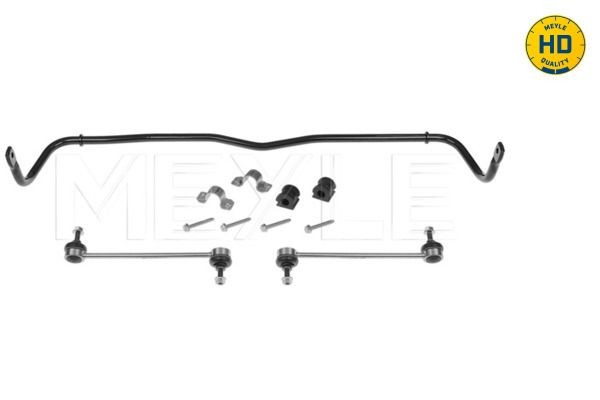 100 653 0002/HD MEYLE Sway bar VW Front Axle, with clamps, with rubber mount, with coupling rod, Quality