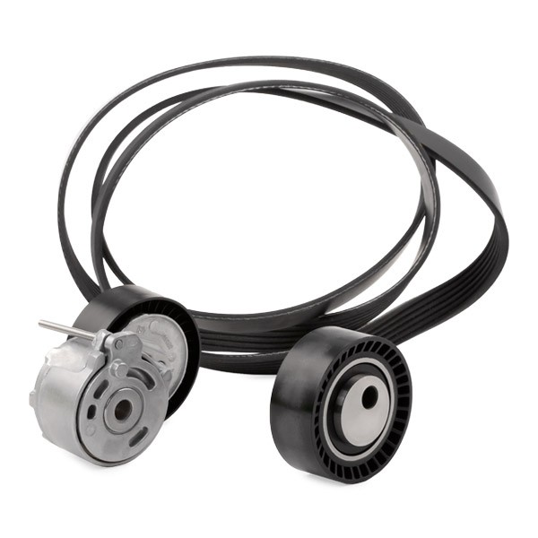 INA 529001710 V-Ribbed Belt Set Check alternator freewheel clutch & replace if necessary
