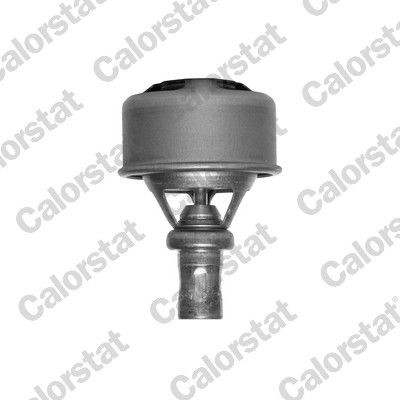 Engine thermostat TH4495.83 from CALORSTAT by Vernet