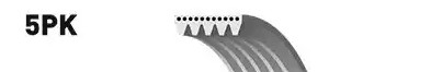 Serpentine belt SNR CA5PK1115 - Honda INSIGHT Belt and chain drive spare parts order