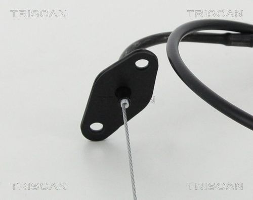 TRISCAN Accelerator cable 8140 43310 for Hyundai Atos MX