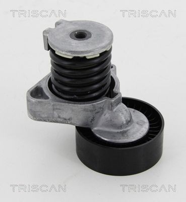TRISCAN 8641233024 Tensioner pulley A 271 200 0470