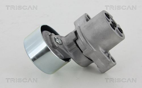 TRISCAN 8641503006 Tensioner pulley RF5G-15-980
