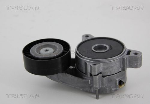 TRISCAN 8641801003 Tensioner pulley 04891 659AA