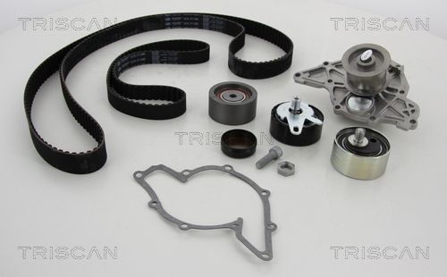 TRISCAN with water pump Timing belt and water pump 8647 290031 buy