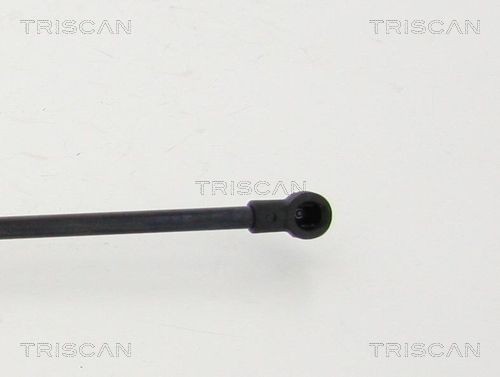 871025108 Bonnet lifters TRISCAN 8710 25108 review and test