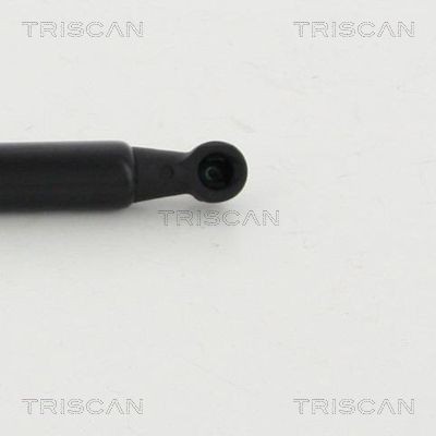 8710292019 Boot gas struts TRISCAN 8710 292019 review and test
