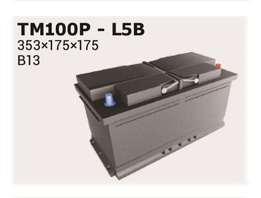 IPSA TM100P Starterbatterie für FUSO (MITSUBISHI) CANTER LKW in Original Qualität