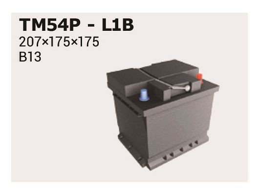55059 IPSA TM54P Battery 71730453