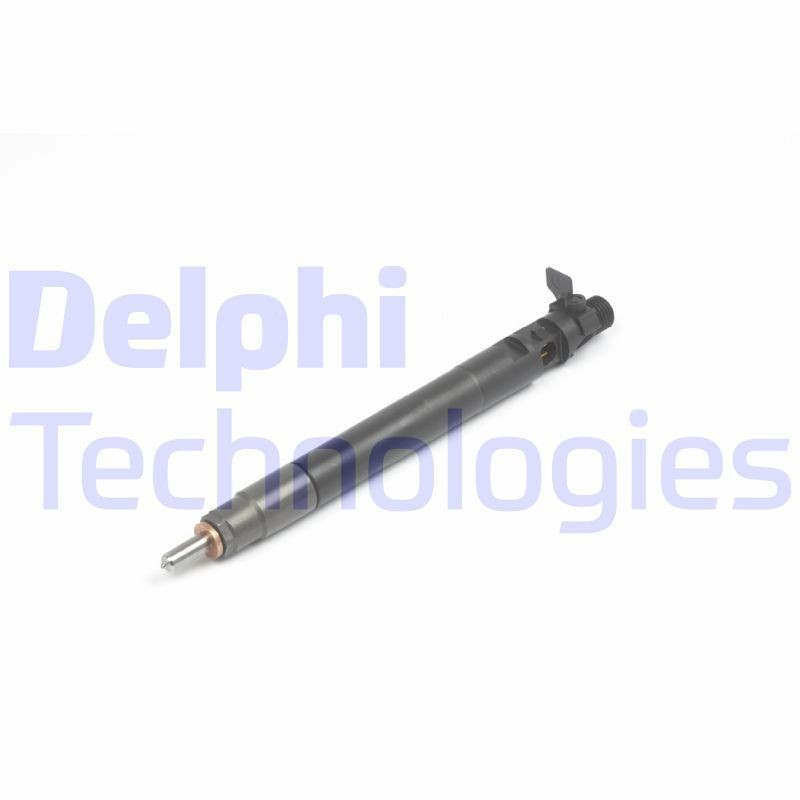 Ford Nozzle and Holder Assembly DELPHI R00101DP at a good price
