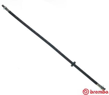 BREMBO 560 mm, F10X1 Length: 560mm, Thread Size 1: F10X1, Thread Size 2: M10X1 Brake line T 71 005 buy