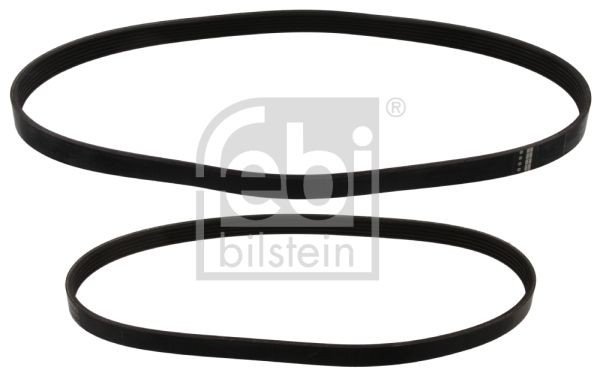 Ford FIESTA V-ribbed belt 7556683 FEBI BILSTEIN 40858 online buy