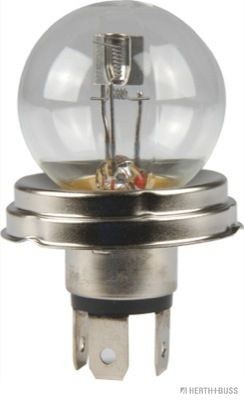 R2 HERTH+BUSS ELPARTS 89901091 Bulb, headlight 942086