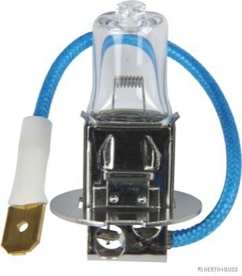 89901097 HERTH+BUSS ELPARTS Glühlampe, Fernscheinwerfer für MAZ-MAN online bestellen