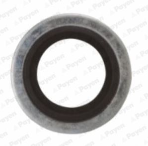 PAYEN KG5012 Seal Ring, nozzle holder 6000616182
