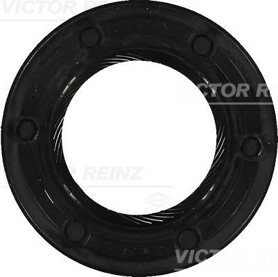 REINZ Inner Diameter: 28mm, ACM (Polyacrylate) Shaft seal, camshaft 81-24056-00 buy