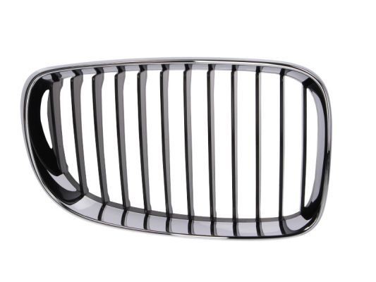 BLIC 6502-07-0085992PP BMW 1 Series 2004 Grille assembly