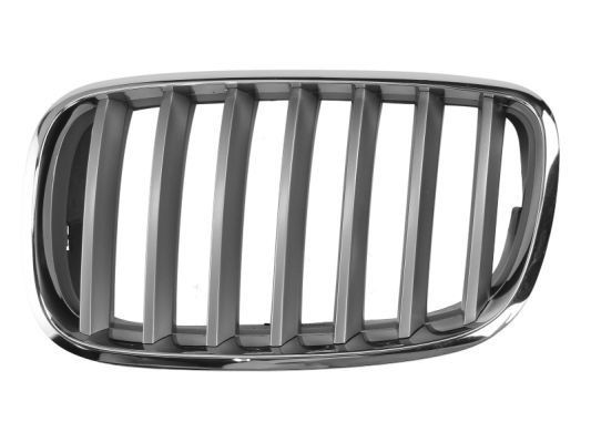 BLIC Front grille BMW X6 (E71, E72) new 6502-07-0096991PP