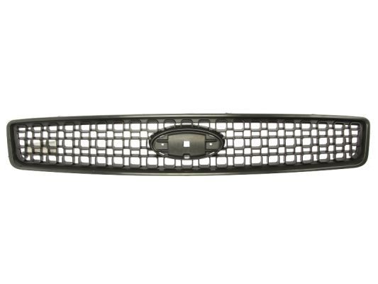 BLIC 6502-07-2576991P Radiator Grille FORD experience and price