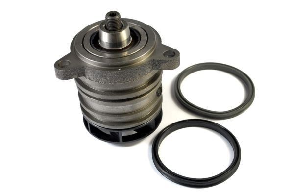 THERMOTEC D1W041TT Water pump with seal, Mechanical, for gear drive