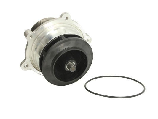 THERMOTEC WP-DF113 Water pump