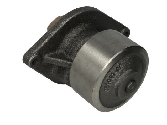 THERMOTEC Water pump for engine WP-IV110