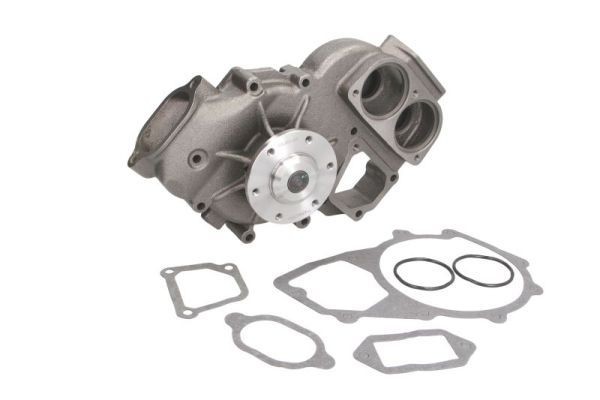 THERMOTEC Grey Cast Iron, with gaskets/seals, Grey Cast Iron Water pumps WP-MN101 buy