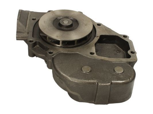 THERMOTEC Water pump for engine WP-MN103