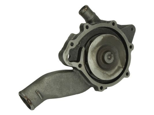 THERMOTEC Water pump for engine WP-MN106