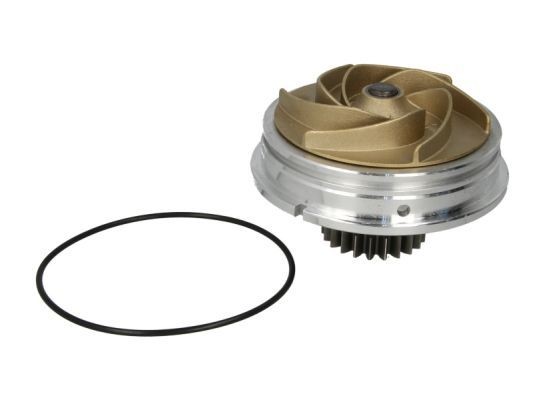 THERMOTEC Water pump for engine WP-RV105