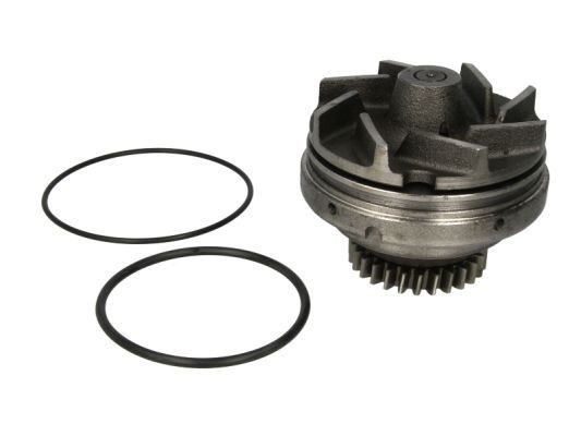 THERMOTEC Water pump for engine WP-RV115