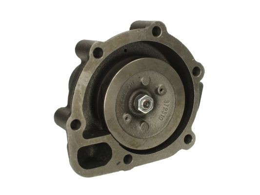 THERMOTEC Water pump for engine WP-SC101