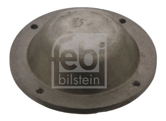 FEBI BILSTEIN 43768 Schutzdeckel, Radnabe für DAF 75 LKW in Original Qualität