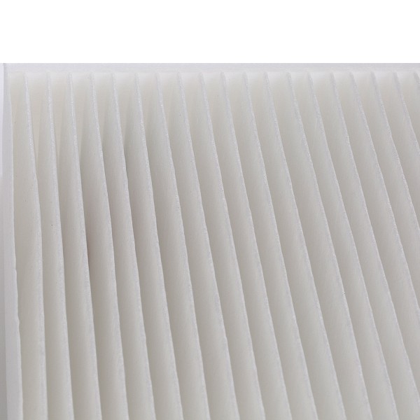 BOSCH 1987435003 Air conditioner filter Particulate Filter, 198 mm x 247 mm x 40 mm