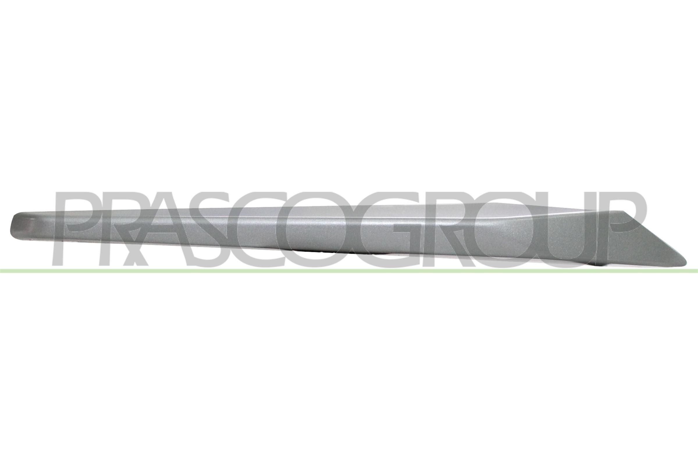 PRASCO Trim / Protective Strip, radiator grille BM0281223 BMW 3 Series 2018